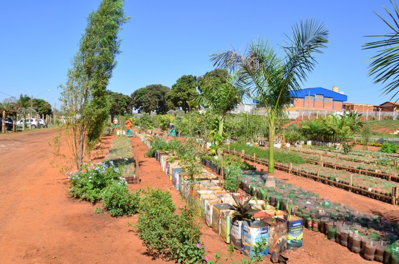 Imagem Ilustrando a Notícia: Materiais recicláveis são utilizados no cultivo de mudas em Goiânia
