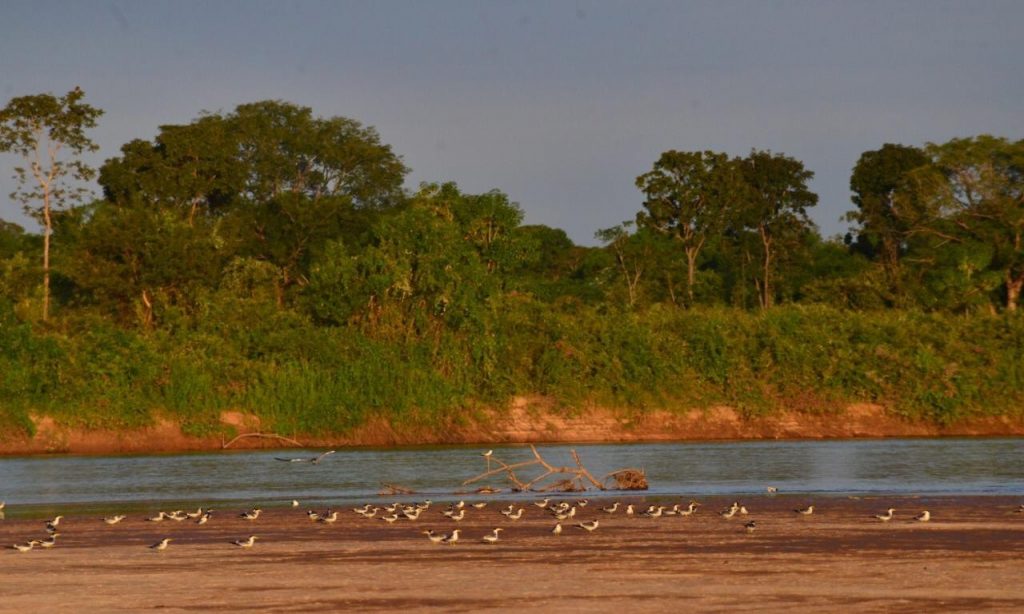 Imagem Ilustrando a Notícia: Governo de Goiás proíbe pesca na Bacia do Rio Araguaia