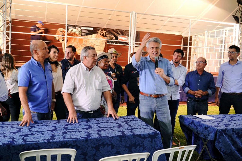 Imagem Ilustrando a Notícia: “Goiás vai exportar gado para o mundo todo”, diz Caiado