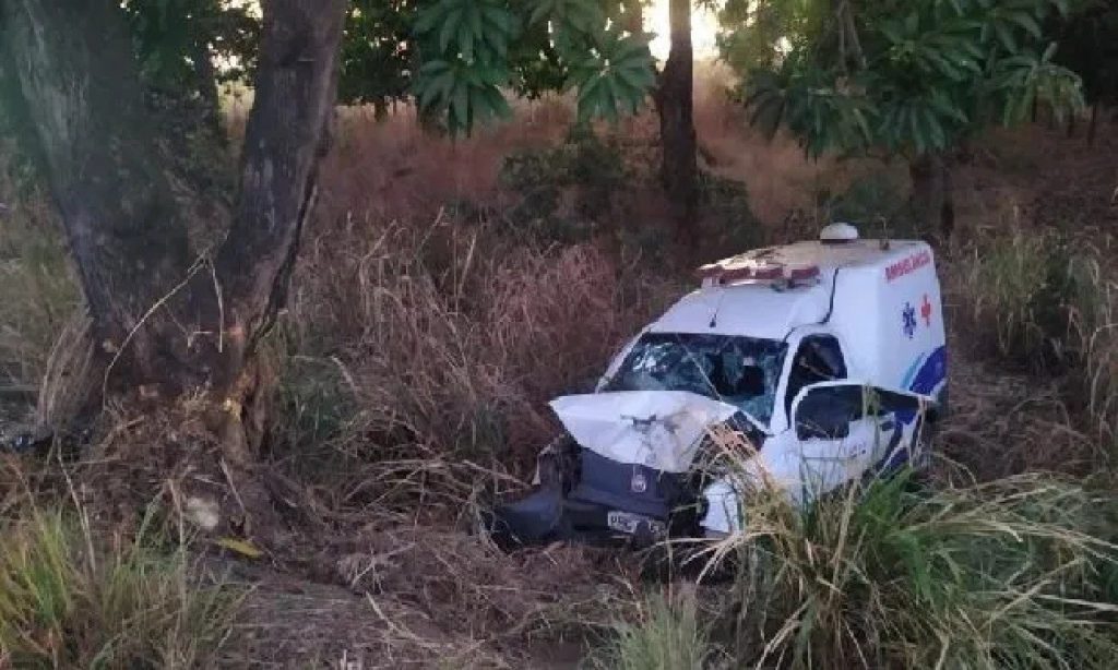 Imagem Ilustrando a Notícia: Acompanhante morre após ambulância bater contra árvore, em Goianésia