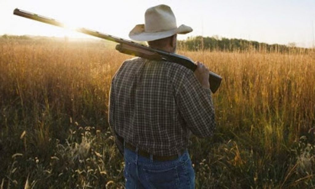 Imagem Ilustrando a Notícia: Câmara aprova projeto que amplia posse de arma em propriedade rural