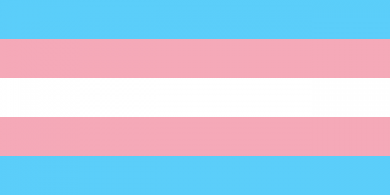 Imagem Ilustrando a Notícia: DF inaugura primeiro ambulatório público para transexuais