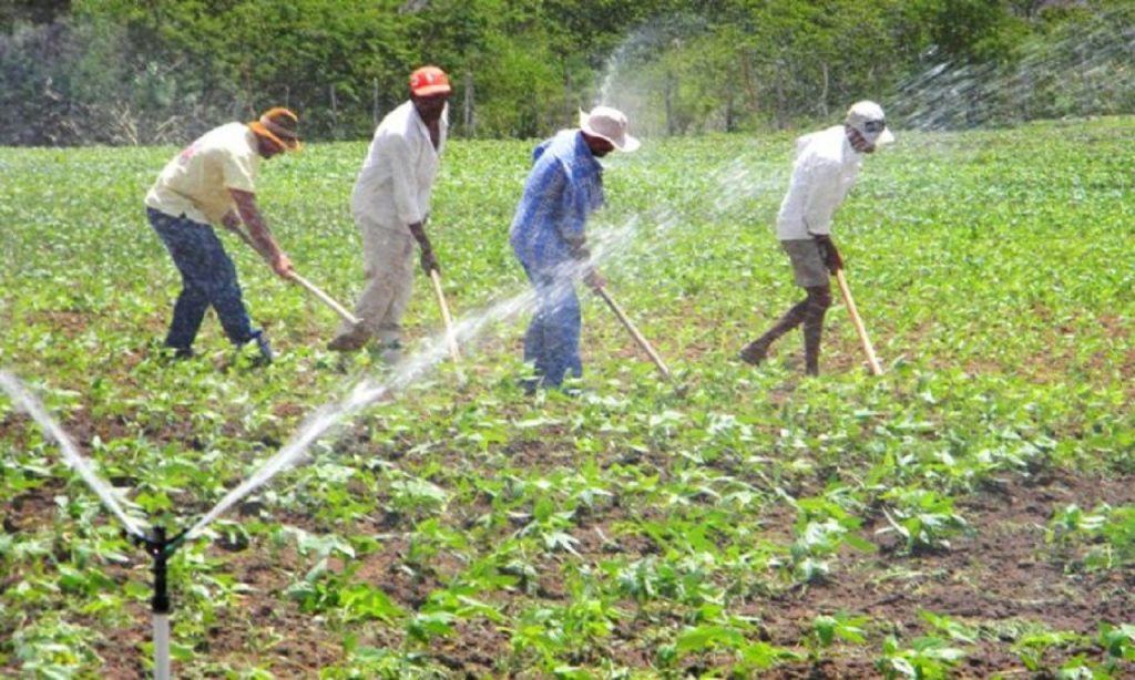 Imagem Ilustrando a Notícia: Regularização fundiária facilita a vida do produtor rural em Goiás