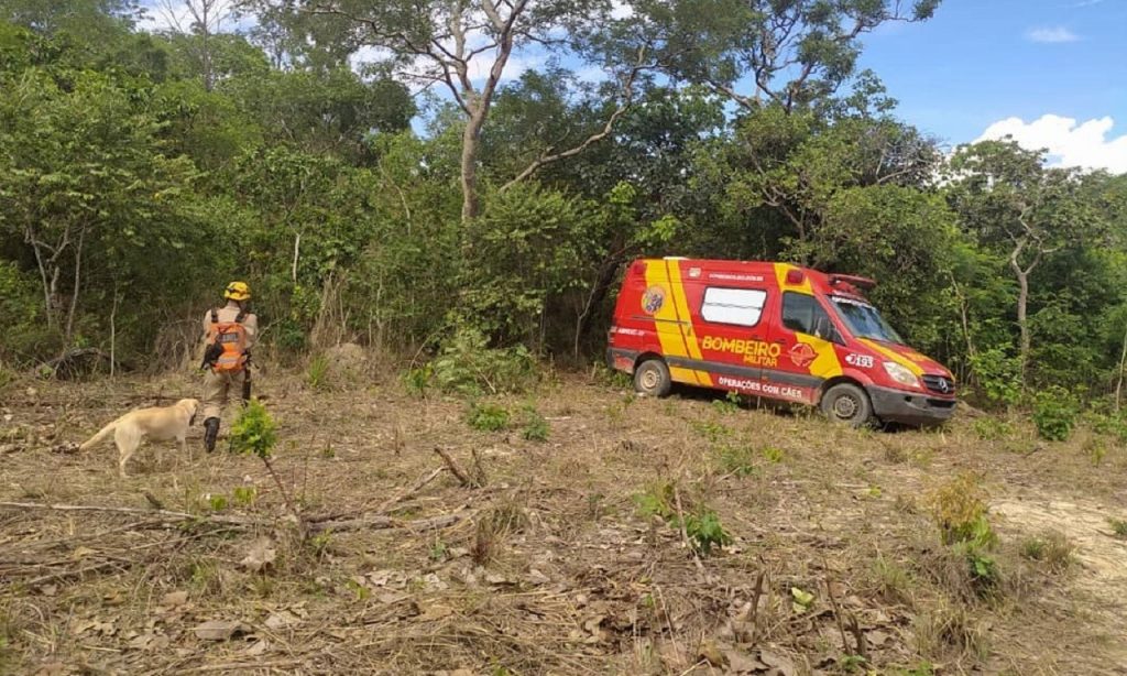 Imagem Ilustrando a Notícia: Idosa de 72 anos morada de Goiânia some em mata de Niquelândia