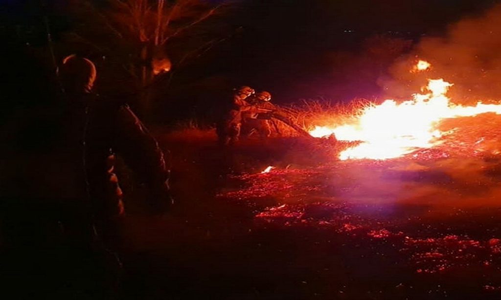 Imagem Ilustrando a Notícia: Corpo de Bombeiros controla fogo em área próxima ao Parque Altamiro de Moura Pacheco