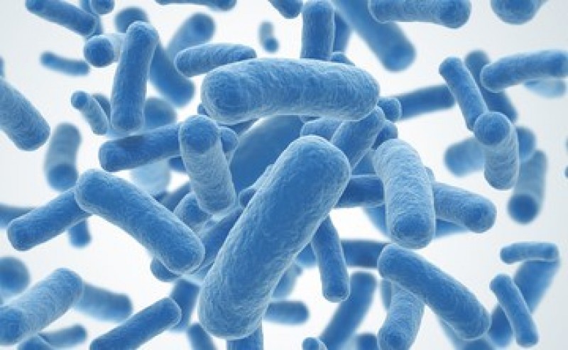 Imagem Ilustrando a Notícia: Anvisa anuncia aprovação de novo antibiótico para bactérias multirresistentes