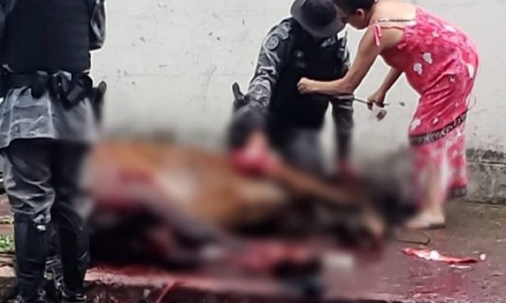 Imagem Ilustrando a Notícia: Acusado de matar cavalo da PM é denunciado em Goiânia