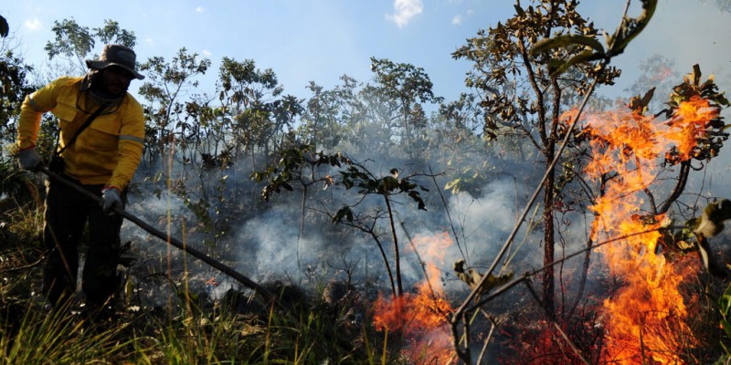 Imagem Ilustrando a Notícia: Secima planeja prevenção contra incêndios florestais