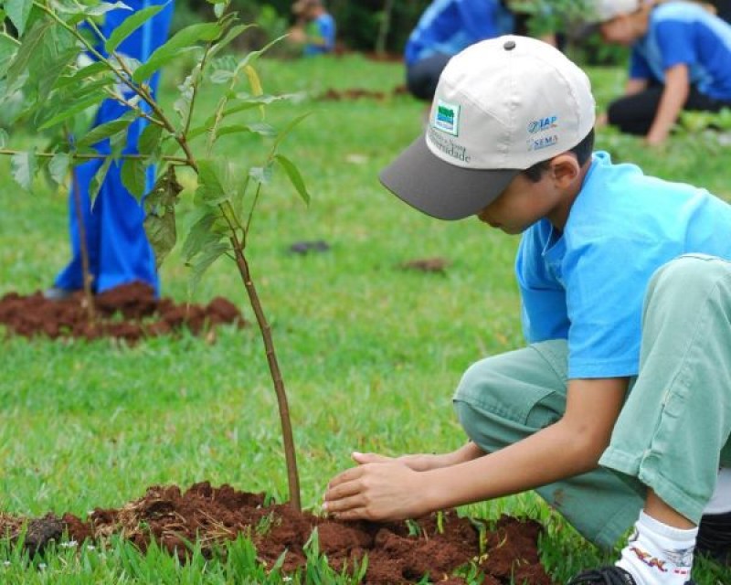 Imagem Ilustrando a Notícia: Mostra de Ações Socioambientais é promovida na Vila Ambiental, no Parque Areião