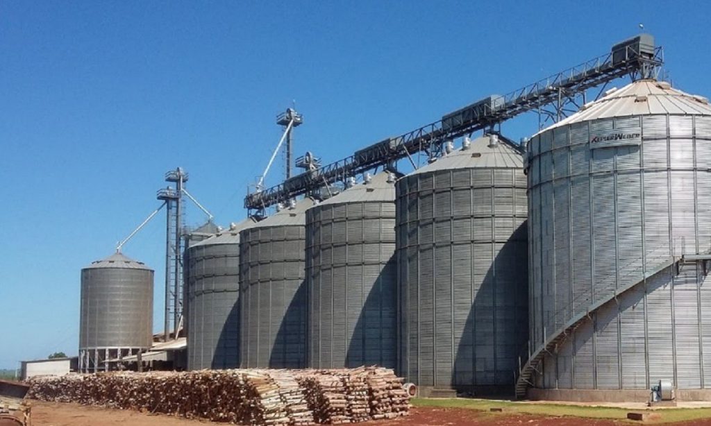 Imagem Ilustrando a Notícia: Cresce produção de grãos e faltam armazéns para estocagem em  Goiás