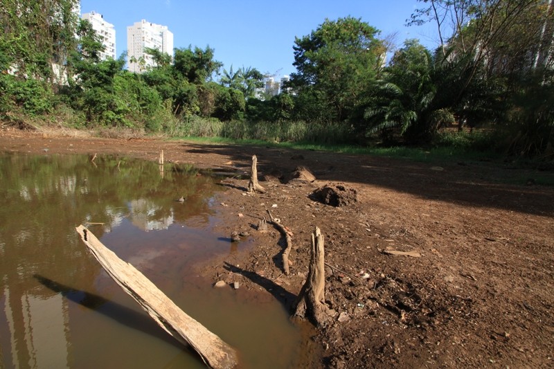 Imagem Ilustrando a Notícia: Lagos do Parque ameaçam secar