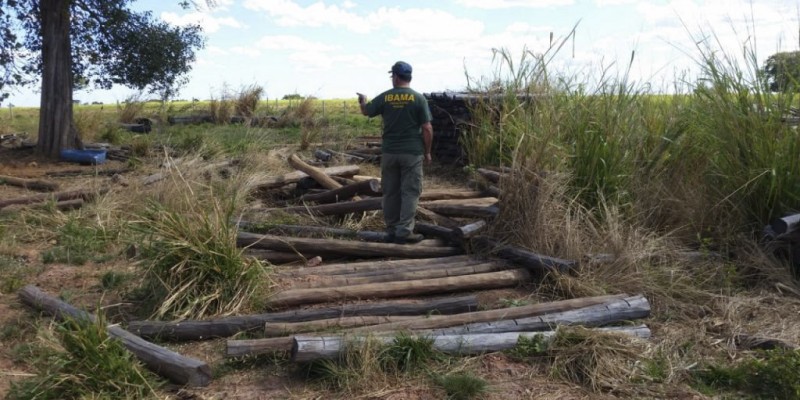 Imagem Ilustrando a Notícia: Ibama promove operação contra desmatamento