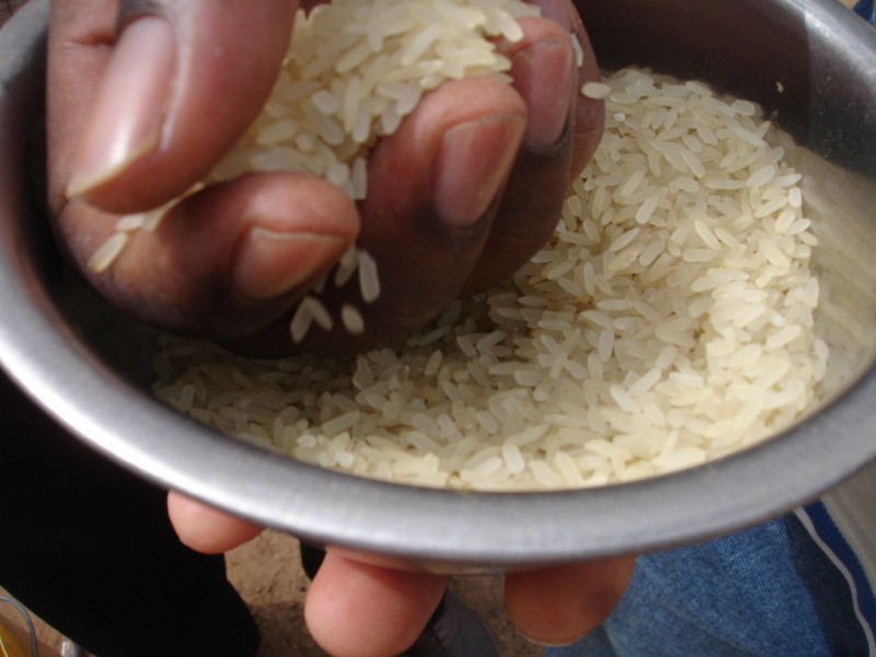 Imagem Ilustrando a Notícia: Africanos debatem no Brasil alimentação escolar