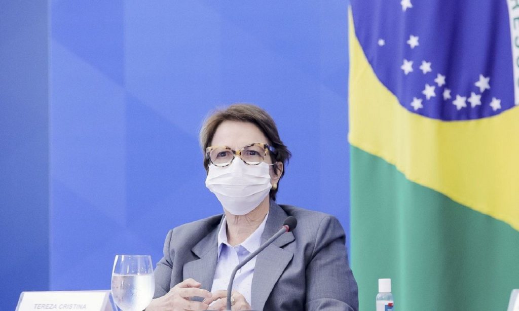 Imagem Ilustrando a Notícia: Tereza Cristina: acordo Mercosul-UE não ameaça preservação ambiental