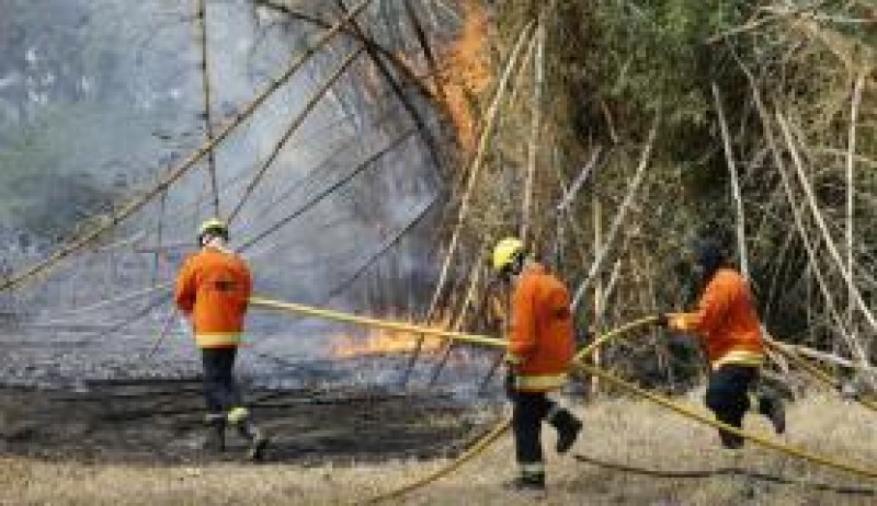 Imagem Ilustrando a Notícia: Incêndio em parque urbano do DF é controlado próximo à residência de governo