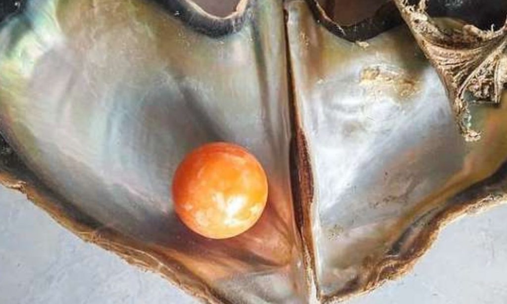 Imagem Ilustrando a Notícia: Pérola rara avaliada em R$ 1,8 milhão é encontrada por pescador na Tailândia