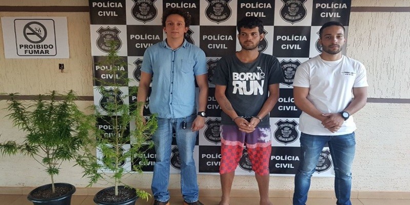 Imagem Ilustrando a Notícia: Homem é preso em Itaberaí com plantação de maconha em quintal