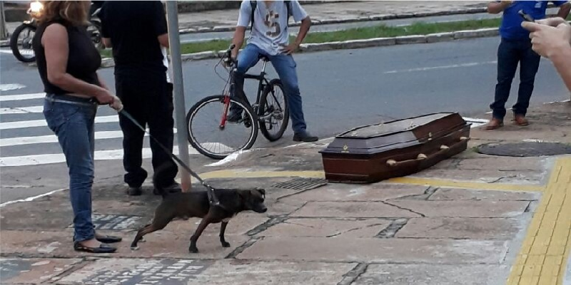 Imagem Ilustrando a Notícia: Caixão cai de carro funerário no meio de Avenida, em Goiânia