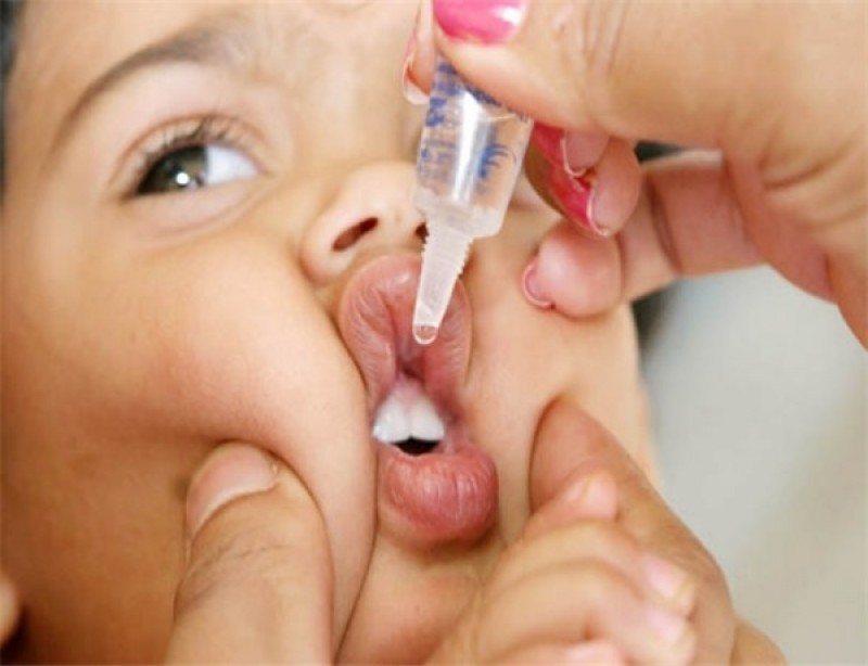 Imagem Ilustrando a Notícia: Termina hoje campanha para atualizar caderneta de vacinação