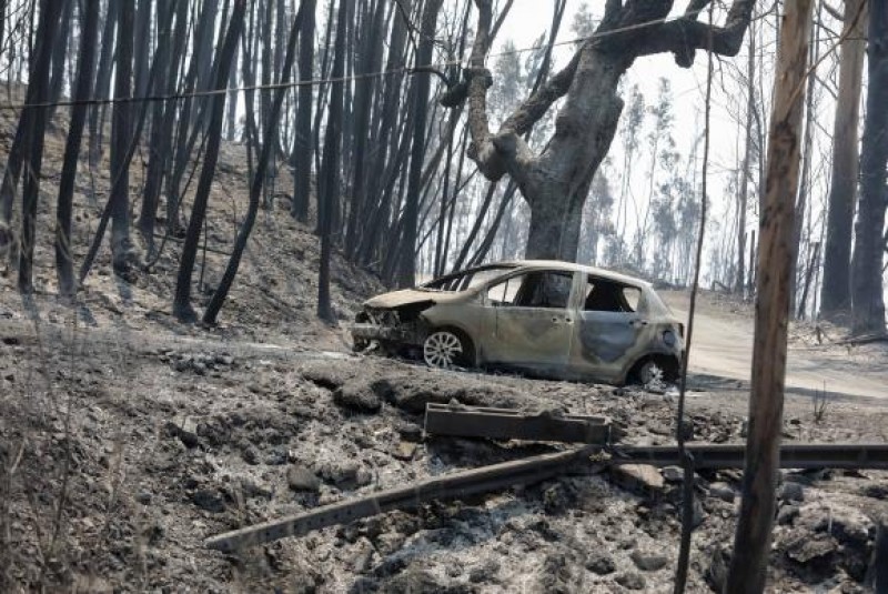 Imagem Ilustrando a Notícia: Incêndio florestal deixa ao menos 62 mortos em Portugal