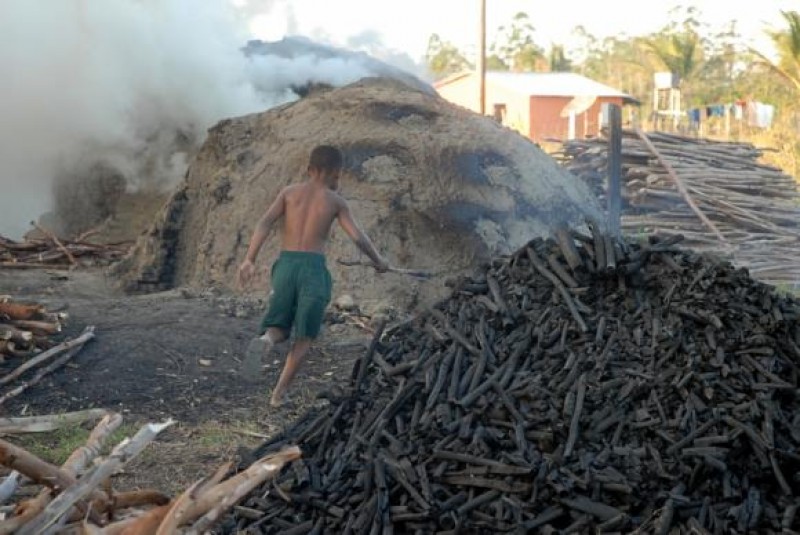 Imagem Ilustrando a Notícia: Cai produção de carvão vegetal, lenha e madeira em tora do extrativismo