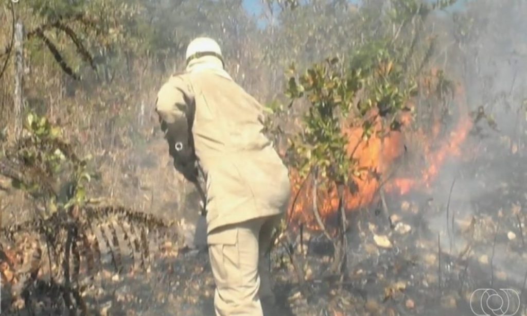 Imagem Ilustrando a Notícia: Incêndios em Aparecida de Goiânia destroem 26 hectares