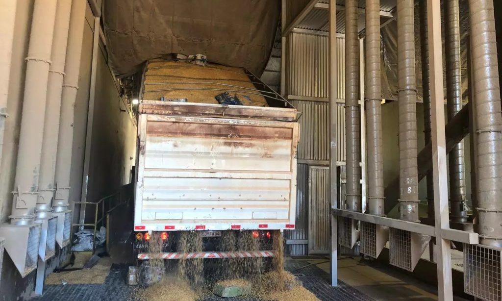 Imagem Ilustrando a Notícia: PRF apreende 29 toneladas de maconha, em Mato Grosso do Sul
