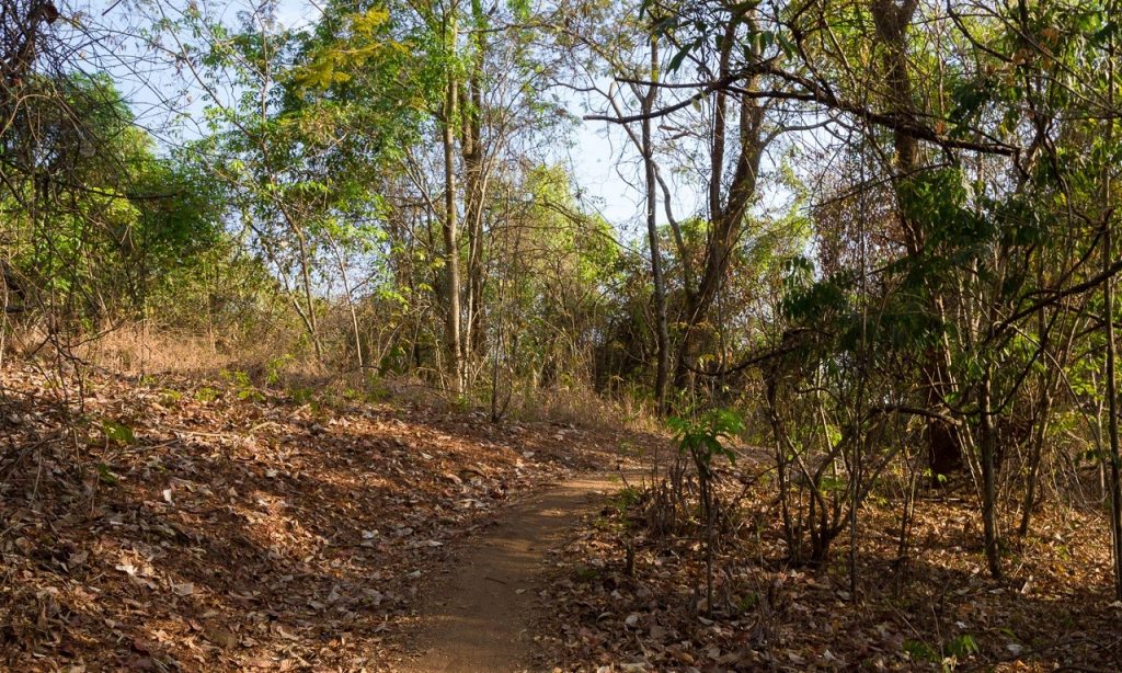 Imagem Ilustrando a Notícia: Pós-restrições: conheça lugares para trilhas e ciclismo em Goiânia e região