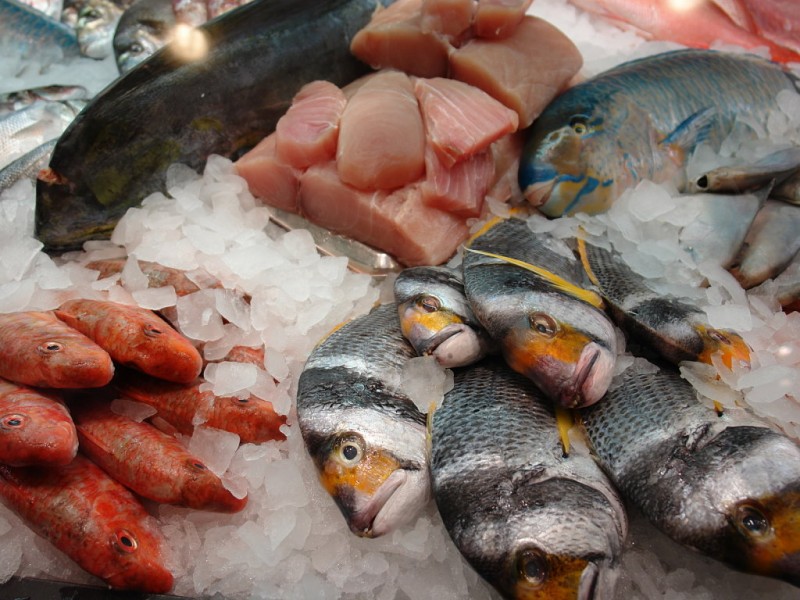 Imagem Ilustrando a Notícia: Operação fiscaliza qualidade do pescado em 13 estados