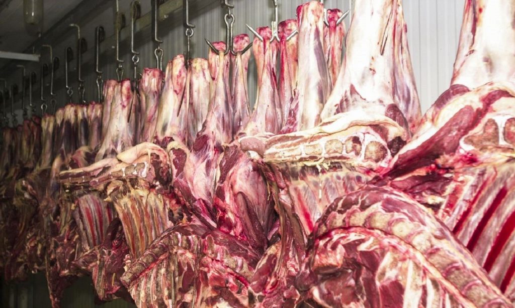 Imagem Ilustrando a Notícia: Brasil abre mercado para exportar carne bovina e miúdos à Tailândia, diz ministério