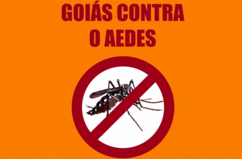 Imagem Ilustrando a Notícia: Goiânia começa a receber força-tarefa no combate ao Aedes