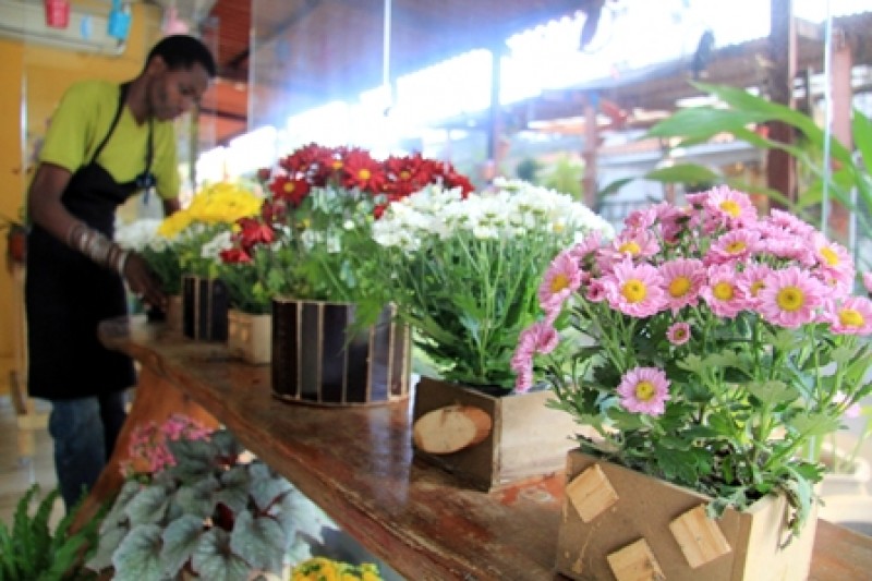 Imagem Ilustrando a Notícia: Variação entre menor e maior preço de flores chega a 300%