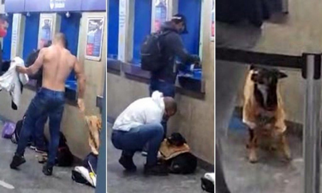 Imagem Ilustrando a Notícia: Jovem cede camisa para cachorro que tremia de frio em terminal de SP