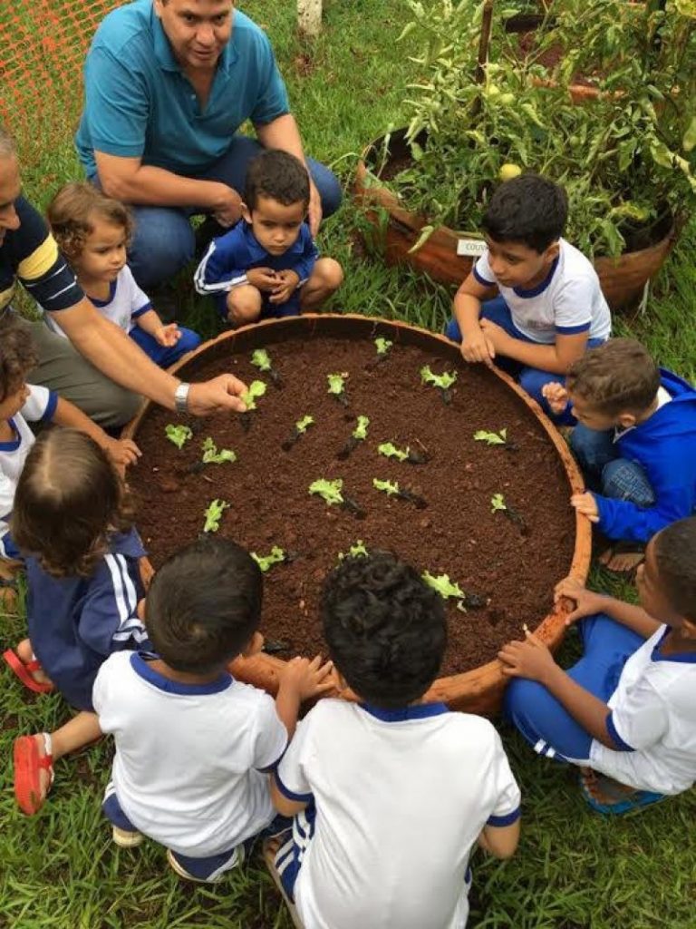 Imagem Ilustrando a Notícia: Cmeis e escolas recebem Projeto Horta Escolar