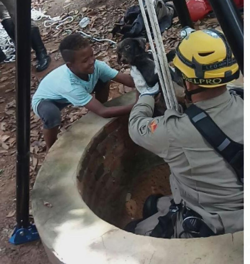 Imagem Ilustrando a Notícia: Corpo de Bombeiros resgata cão que caiu em buraco, em São Miguel do Araguaia-GO