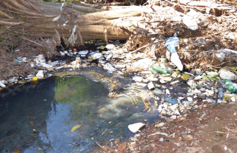 Imagem Ilustrando a Notícia: MPGO e Defesa Civil acusam saneago de poluir córregos