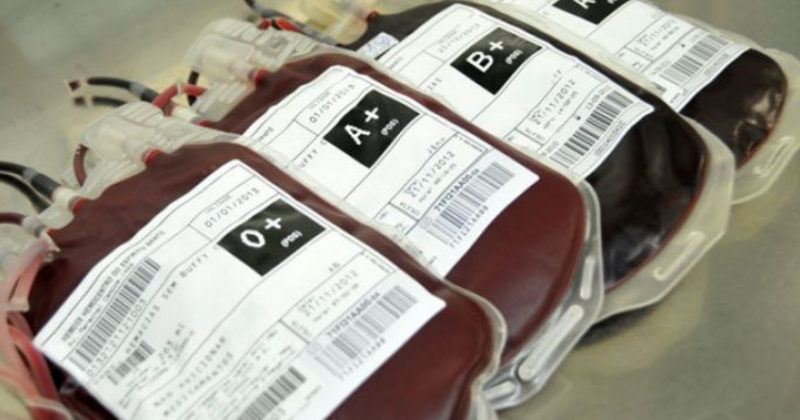 Imagem Ilustrando a Notícia: Seconci promove campanha de doação de sangue