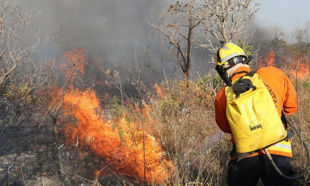 Imagem Ilustrando a Notícia: Campanha conscientiza sobre riscos de queimadas durante a seca