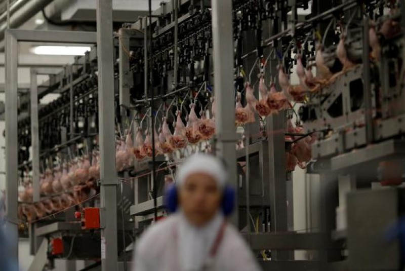 Imagem Ilustrando a Notícia: Chile, China e Egito anunciam importação de carne brasileira