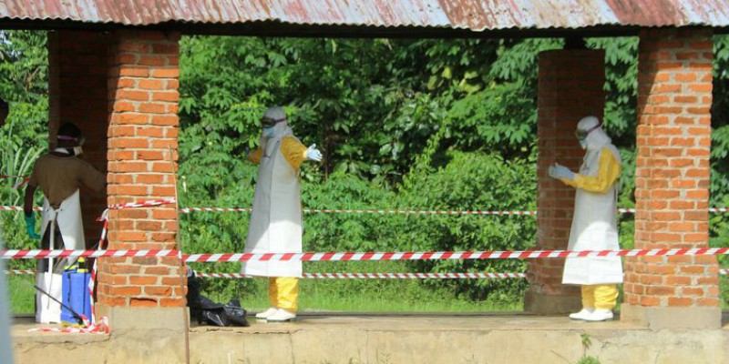 Imagem Ilustrando a Notícia: Vacinas contra o ebola: resposta imune duradoura