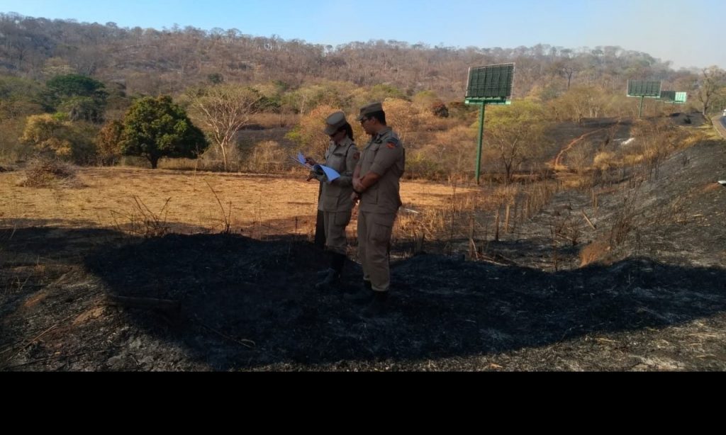 Imagem Ilustrando a Notícia: Dema investiga causa do incêndio no Parque Estadual Altamiro de Moura