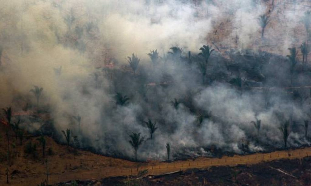 Imagem Ilustrando a Notícia: Governo suspende a prática de queimadas em todo o país