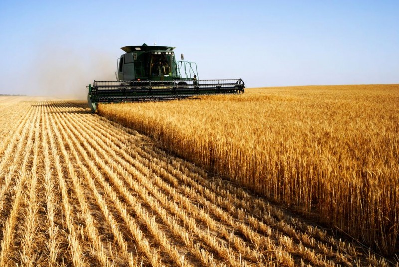 Imagem Ilustrando a Notícia: Valor da produção agrícola nacional foi 20% maior do que em 2015