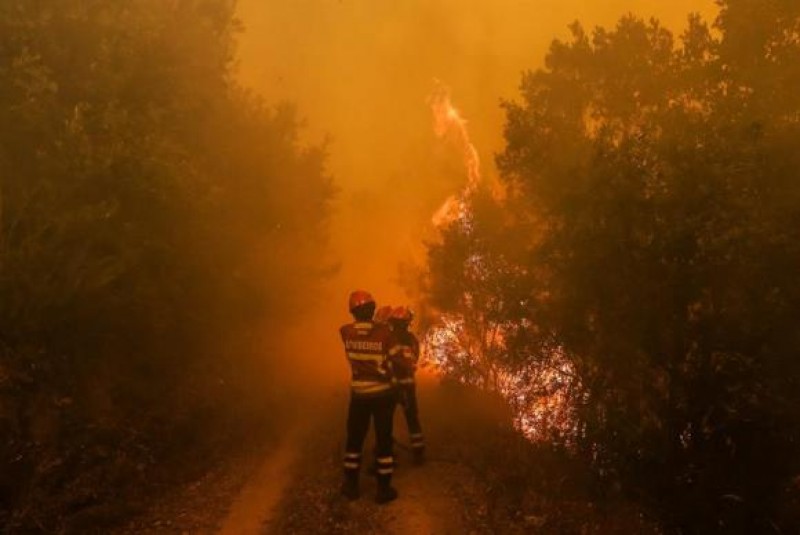 Imagem Ilustrando a Notícia: Incêndios em Portugal matam 32 pessoas e ferem 56