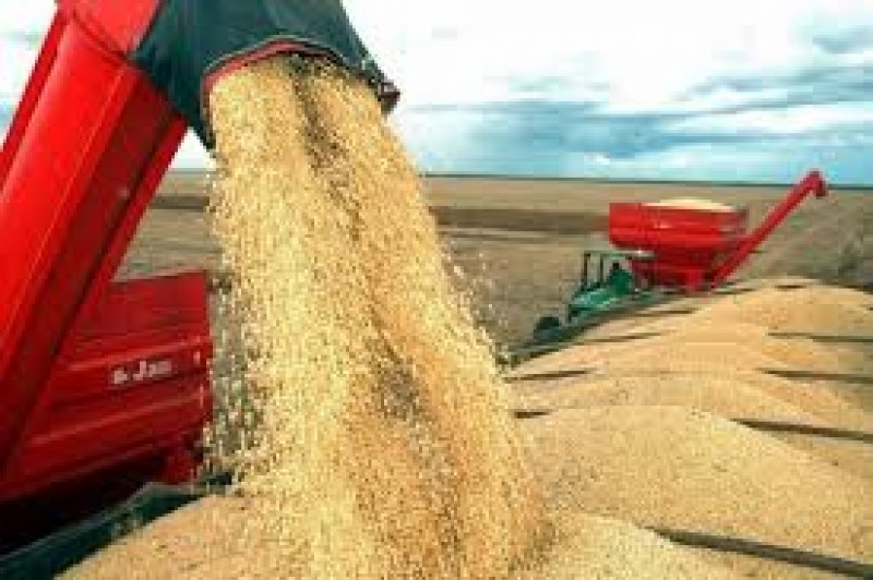 Imagem Ilustrando a Notícia: Conab prevê queda de 9,5% na safra de grãos 2015/2016