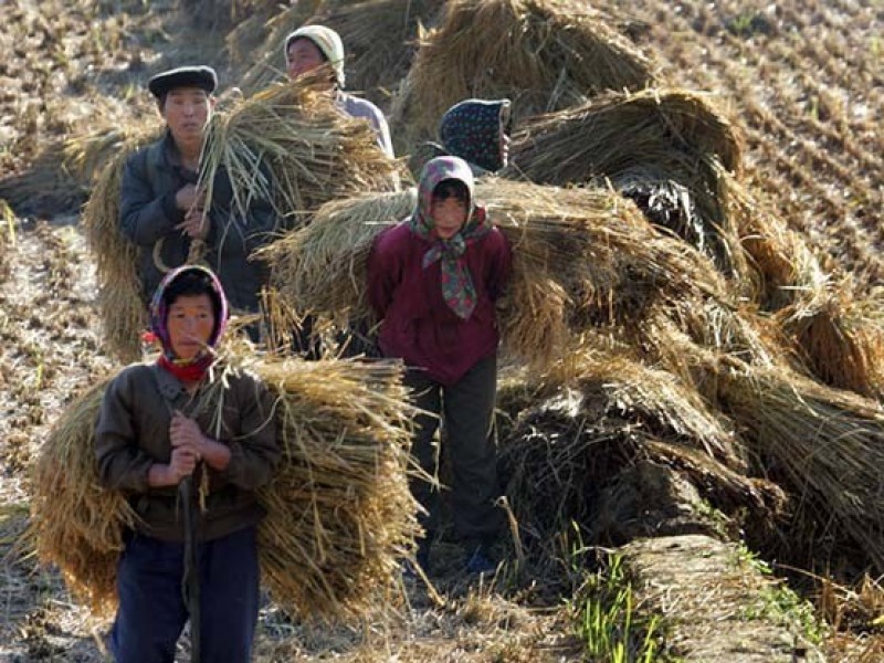 Imagem Ilustrando a Notícia: China investe em turismo rural para combater pobreza