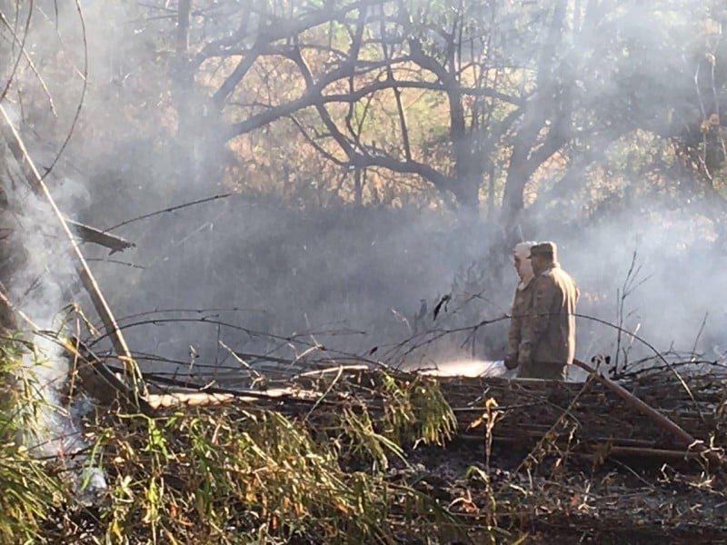 Imagem Ilustrando a Notícia: Até 20 casos de queimadas são registrados por dia