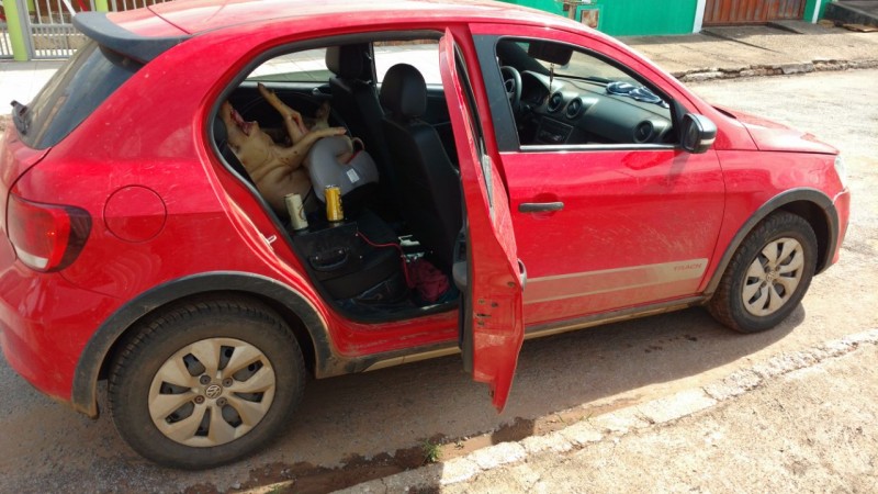 Imagem Ilustrando a Notícia: Motorista embriagado é preso transportando suíno em cadeirinha de bebê