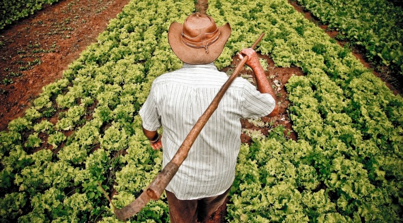 Imagem Ilustrando a Notícia: Agricultores familiares recebem equipamentos agrícolas nesta terça-feira