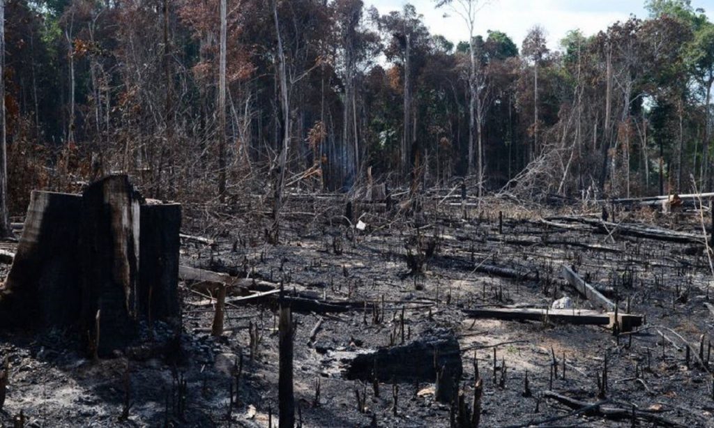 Imagem Ilustrando a Notícia: Conselho anuncia operação em áreas protegidas da Amazônia Legal